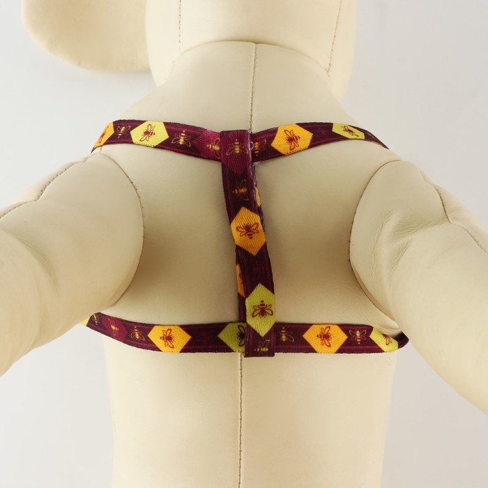 Комплект &laquo;Пчёлы&raquo;, шлейка 24-36 см, поводок 120х1 см