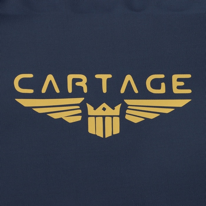 Термосумка Cartage Т-24, темно-синяя, 30 л