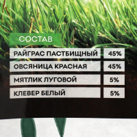 Газонная травосмесь "Абсолют", "Ленивый", 10 кг Газонная травосмесь "Абсолют", "Ленивый", 10 кг