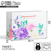 Пакет—коробка, подарочная упаковка, «Хорошего настроения», 28 х 20 х 13 см Пакет—коробка, подарочная упаковка, «Хорошего настроения», 28 х 20 х 13 см