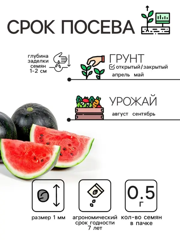 Семена Арбуз "Огонек", 0,5 г