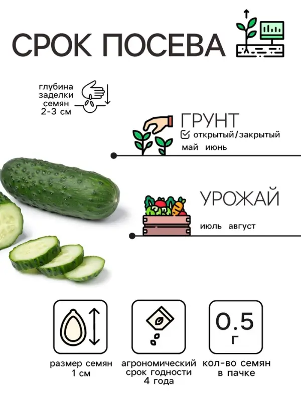 Семена Огурец "Засолочный", 0,5 г