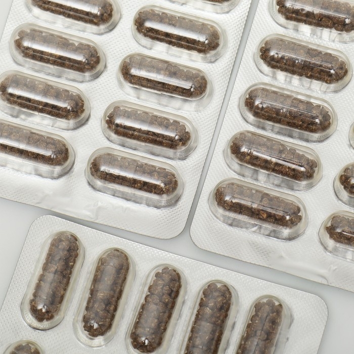 Концентрат на растительном сырье Ежовик с гинкго билоба, 30 капсул по 500 мг Концентрат на растительном сырье Ежовик с гинкго билоба, 30 капсул по 500 мг