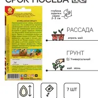 Семена Огурец "Китай-город", F1, ц/п, 7 шт