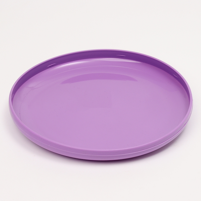 Летающая тарелка &laquo;Фрисби&raquo;, 23 см, сиреневый