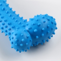 Набор игрушек для средних собак "Кость (16 см) и канат (90-100 г)", голубая