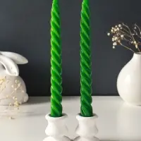 Набор свечей витых, 2,3х 24,5 см, 5 ч, 50 г, 2 штуки, тёмно-зелёный