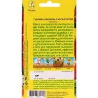 Набор Семена цветов Георгины махровая низкорослая (238760048) ВБ