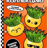 Набор для опытов &laquo;Выращиваем травку&raquo;