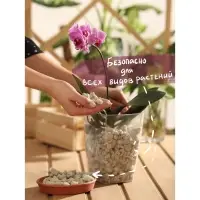 Пеностекло &laquo;Рецепты дедушки Никиты&raquo; 10 л фр 5-30