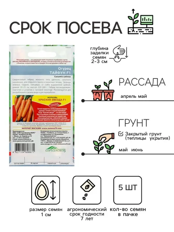 Семена Огурец "Тайфун" F1, раннеспелый, партенокарпический, 5 шт