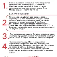 Семена Свёкла "Бордо 237", 2 г