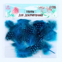 Набор перьев для декора 10 шт., размер 1 шт: 5 &times; 2 см, цвет бирюзовый с чёрным