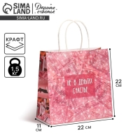 Пакет подарочный, упаковка, &laquo;Счастье в бабках&raquo;, 22 х 22 х 11 см
