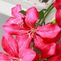 Цветы искусственные "Баухиния пёстрая" d-13 см 71 см, малиновый