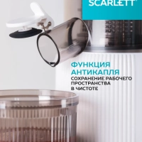 Соковыжималка шнековая SC-JE50S63