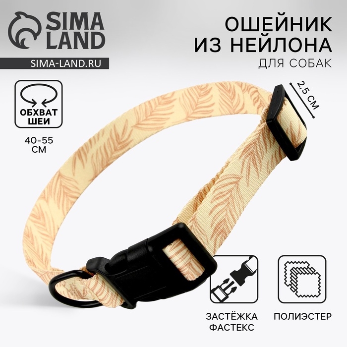 Ошейник Paradise life, застёжка - фастекс, 2.5 см, 40-55 см