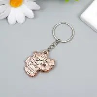 Брелок пластик под металл "Китайский дракон" 2,7х3,5 см