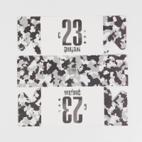 Коробка для капкейков, кондитерская упаковка с PVC крышкой, 2 ячейки, &laquo;23 февраля&raquo;, 16 х 8 х 10 см