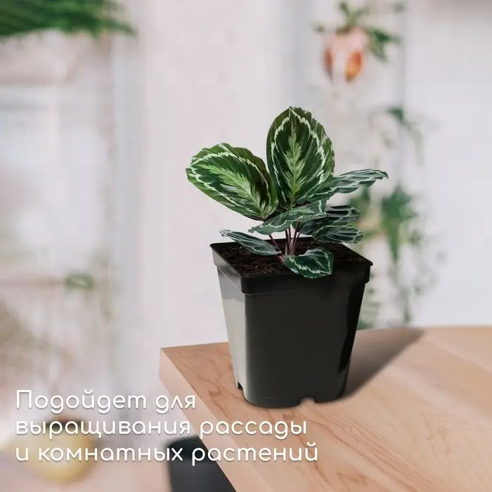 Горшок для рассады, 3 л, d=16 см, h=16 см, чёрный, Greengo