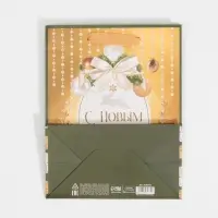 Пакет подарочный новогодний ламинированный &laquo;Золотые краски&raquo;, MS 18 х 23 х 10 см