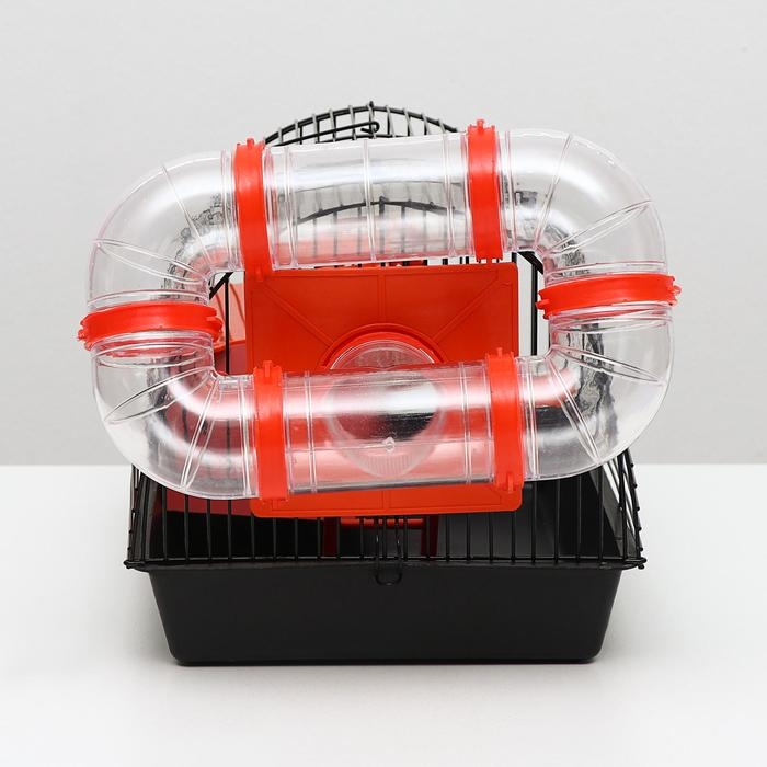 Клетка для грызунов Клетка для грызунов "Саквояж", малая, с лабиринтом, 40 х 25 х 21 см, микс цветов