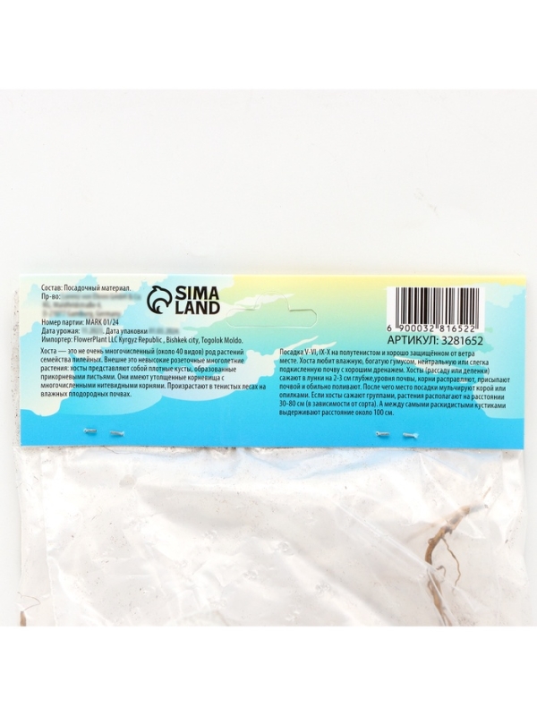 Хоста &laquo;Брим Кап&raquo;, корневище в пакете с торфогрунтом, р-р I, 1 шт.