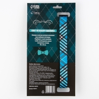 Ошейник &laquo;Джентльмен&raquo;, застёжка - фастекс, 2.5 см, 40-55 см