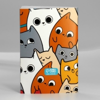 Подарочный набор блокнот-раскраска, трафарет, наклейки и восковые мелки &laquo;Котиков много не бывает&raquo;