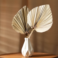 Сухие цветы &laquo;Лист пальмовый&raquo;, 50 &times; 25 &times; 2 см