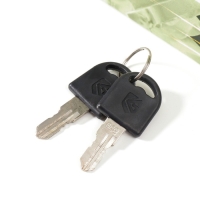 Сейф-книга дерево кожзам "Бюст девушки" 21х13х5 см