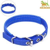Ошейник "Комфорт" комбинированный (полиэстер, искусственная кожа), 39 х 1,5 см, ОШ 26-33 см, синий 6 Ошейник "Комфорт" комбинированный (полиэстер, искусственная кожа), 39 х 1,5 см, ОШ 26-33 см, синий 6