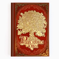 Подарочный набор родословная книга в шкатулке &laquo;Новый год: Дед мороз&raquo;