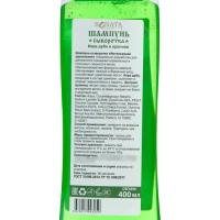 Шампунь-сыворотка для волос "Сила тайги" интенсивное укрепление, 400 мл Шампунь-сыворотка для волос "Сила тайги" интенсивное укрепление, 400 мл