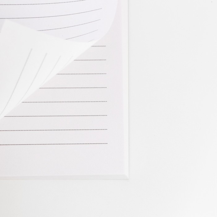 Ежедневник в тонкой обложке А5, 80 л. &laquo;С 23 Февраля&raquo;