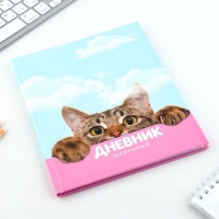 Дневник школьный 1-11 класс универсальный &laquo;1 сентября:Котик&raquo;, твердая обложка 7БЦ, глянцевая ламинация, 40 листов