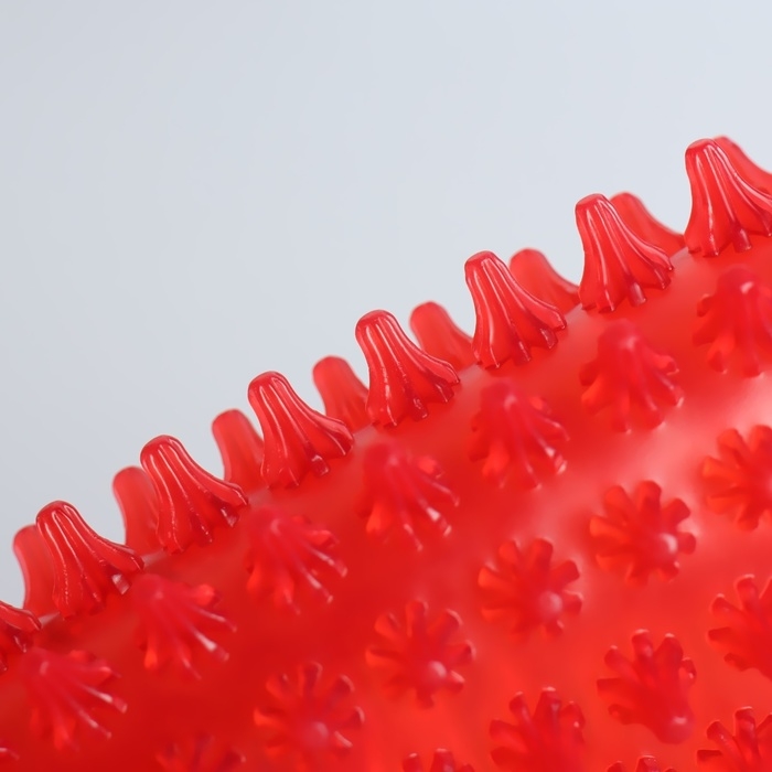 Массажёр антицеллюлитный «Яблоко», с подвесом, 11,5 × 10,5 × 3 см, цвет МИКС Массажёр антицеллюлитный «Яблоко», с подвесом, 11,5 × 10,5 × 3 см, цвет МИКС