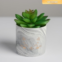 Горшок для цветов керамический с тиснением, кашпо «Котик», 8 х 7,5 см Горшок для цветов керамический с тиснением, кашпо «Котик», 8 х 7,5 см