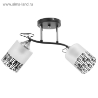 Люстра ГАЛЛОП 890521 2х60Вт Е27 черный/матовый белый с черным рисунком