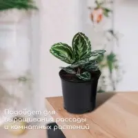 Горшок для рассады, 1 л, d = 13 см, h = 10,5 см, чёрный, Greengo