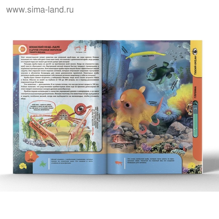 Энциклопедия 4D в дополненной реальности «Подводные жители» Энциклопедия 4D в дополненной реальности «Подводные жители»