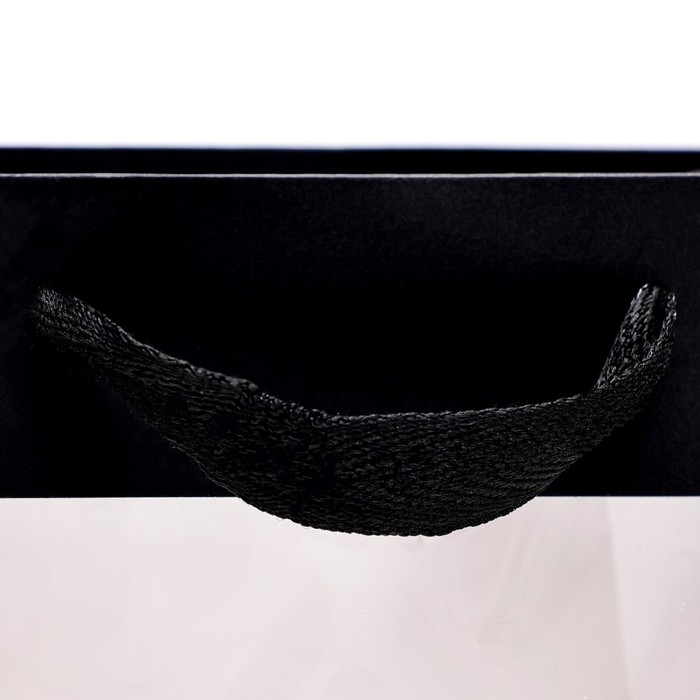 Пакет подарочный, с окном, 30 х 20 х 16 см, черный, 1шт. Пакет подарочный, с окном, 30 х 20 х 16 см, черный, 1шт.