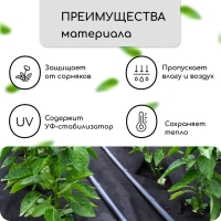 Материал мульчирующий, 10 &times; 1.6 м, плотность 60 г/м&sup2;, спанбонд с УФ-стабилизатором, четыре ряда перфорации, чёрный, Greengo
