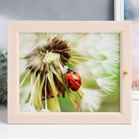 Ключница "Божья коровка" 24Х29 см Ключница "Божья коровка" 24Х29 см