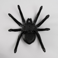 Сувенир металл "Паук" 4,5х16х14,5 см