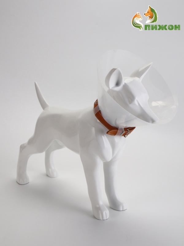 Ветеринарный воротник с креплением на ошейник, высота 10 см (без ошейника)