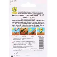 Набор Семена цветов для сада 20 шт. (174019262) ВБ