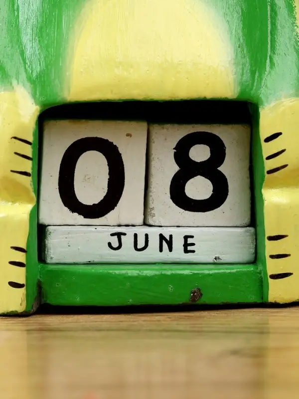 Календарь настольный &laquo;Лягушка&raquo;, 10&times;6&times;21 см, дерево, светло-зелёный