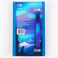 Ошейник «Даже на краю света», застёжка - фастекс, 2 см 25-40 см Ошейник «Даже на краю света», застёжка - фастекс, 2 см 25-40 см