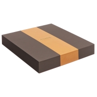 Органайзер на кольцах А6+, 80 листов, кожзам, c клапаном, линия, с ручкой, в подарочной коробке, серый